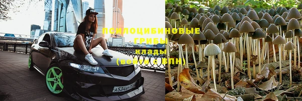 спиды Алексеевка