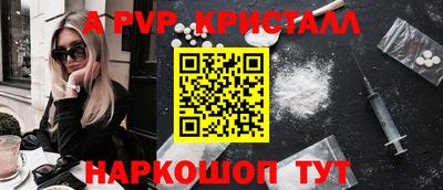 твердый Кингисепп