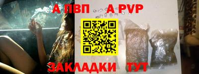 твердый Кингисепп