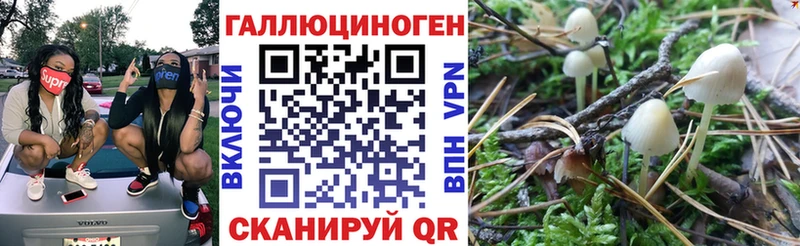 наркотики  Алушта  Галлюциногенные грибы мухоморы 