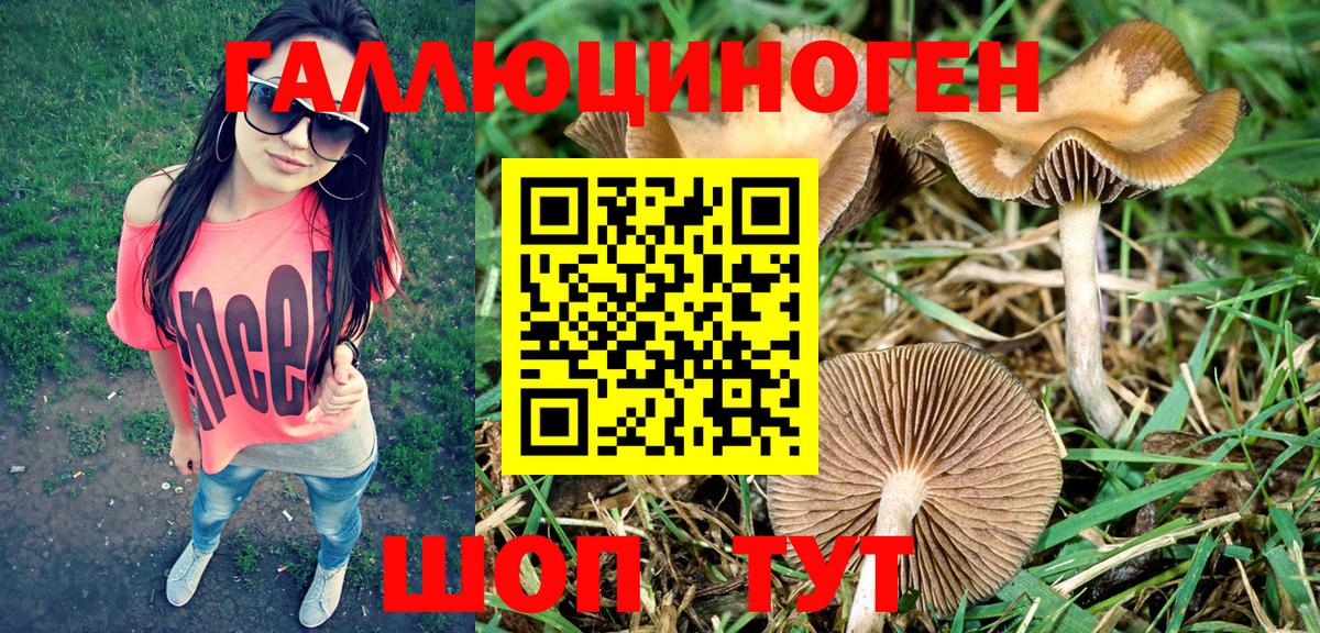 Псилоцибиновые грибы Cubensis Алушта
