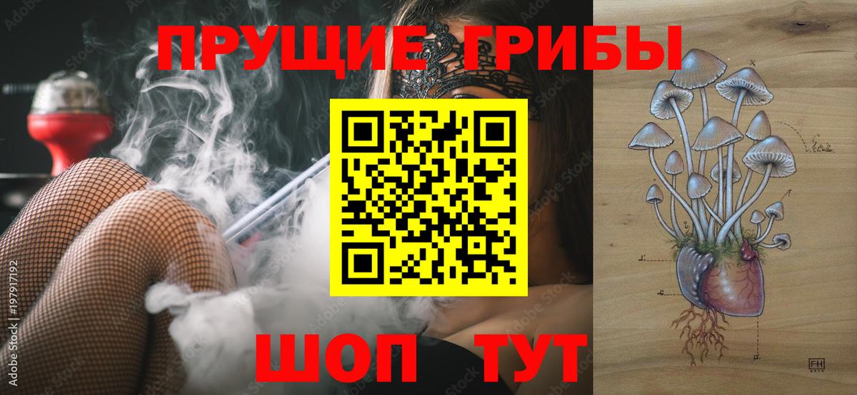 Псилоцибиновые грибы GOLDEN TEACHER  Вход с VPN  Алушта  Галлюциногенные грибы Magic Shrooms 